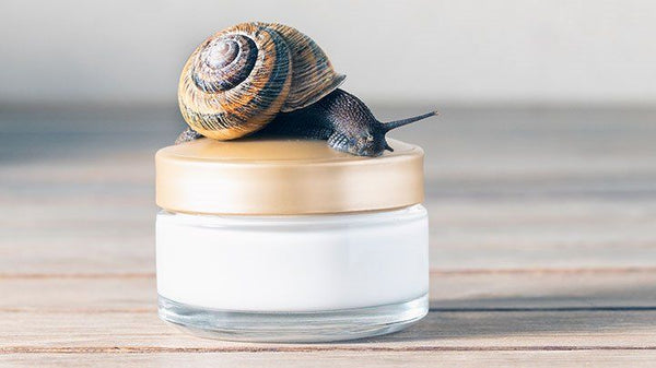 Why you need to try snail mucin